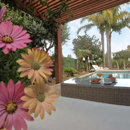 Tropical Garden, With Pool Near The * Alcudia (Mallorca)